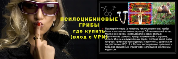 сатива Гусь-Хрустальный
