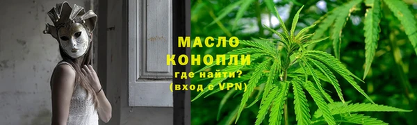 сатива Гусь-Хрустальный