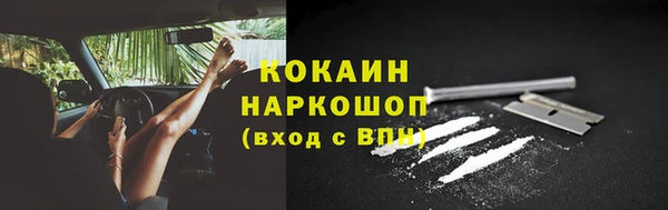 сатива Гусь-Хрустальный