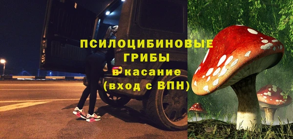сатива Михайловка