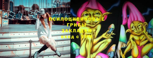 сатива Гусь-Хрустальный