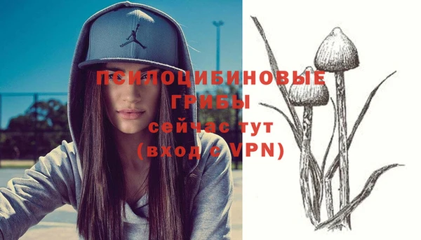 кристаллы Гусиноозёрск